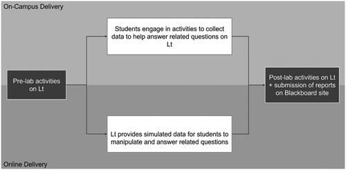 Figure 1. Overview of practical lesson design for online and on-campus delivery.