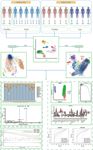 Figure 1 Scheme of the overall study design.