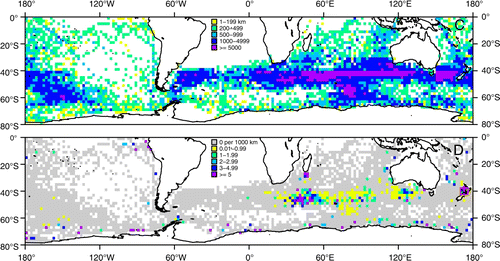 Figure 3  Increased blue whale presence in the South Taranaki Bight (red boxes in B and D) from Soviet catches between 1958–73 in the Southern Hemisphere (A and B) and sightings from Japanese Scouting Vessels (JSV) between 1965 and 1987 (C and D). A, Number of Soviet catches of all large cetaceans in each 2° grid cell, to be used as a rough measure of effort compared with B, the proportion of large cetacean catches in each 2° grid cell that were blue whales. C, JSV survey effort in km to be compared with D, sightings of blue whales per unit effort in each 2° grid cell (no effort in the northern Indian Ocean). Figures taken from Branch et al. (Citation2007); reprinted with permission from T. Branch, Mammal Review and John Wiley & Sons Ltd. Publishing.