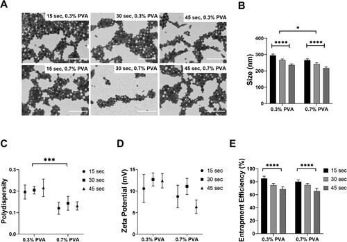 Figure 1. Increase in secondary sonication time as well as PVA concentration in the PLGA NPs formulation method improves NP characteristics. STS PLGA NPs were imaged (A) using Scanning transmission electron microscopy (STEM) in ESEM mode of the ThermoFisher Scientific Quattro S microscope equipped with a field emission filament. Scale bar = 1 μm. PLGA size distribution (B) and polydispersity (C) was determined by DLS and zeta potential (D) was determined by photon correlation spectroscopy using a Zetaplus, comparing PLGA NPs produced by varying formulation parameters. STS entrapment within the PLGA NPs was measured by HPLC-UV detection and expressed as a percentage (E). PLGA NPs were prepared by emulsification by sonication-solvent evaporation. STS was dispersed within the buffer (25 mg/80 µL). Data represents mean ± SD. n = 3 independent batches. **** indicates statistical comparison between the formulations with a p≤.0001. *** indicates statistical comparison between the formulations with a p≤.001. * indicates statistical comparison between the formulations with a p≤.05.