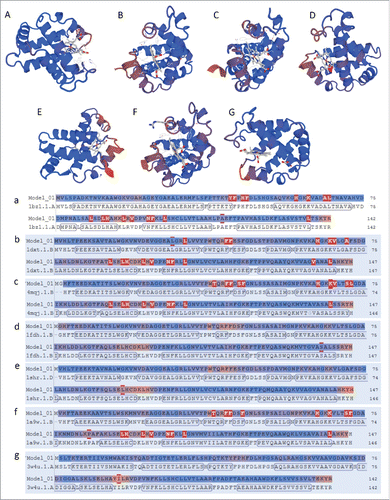 Figure 5. SWISS-MODEL protein structures (A, B, C, D, E, F, and G) and corresponding threading energies (a, b, c, d, e, f, and g) of 7 major subunits of human Hb: A, a. α-Subunit; B, b. β-Subunit; C, c. γ1-Subunit; D, d. γ2-Subunit; E, e. δ-Subunit; F, f. ϵ-Subunit; and G, g. ζ-Subunit.