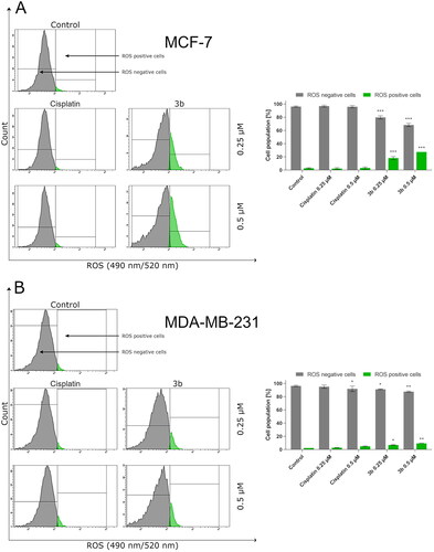 Figure 4. Flow cytometric analysis of ROS induction in MCF-7 (A) and MDA-MB-231 (B) breast cancer cells incubated for 24 h with 3b and cisplatin (0.25 μM and 0.5 μM). Mean percentage values from three independent experiments done in duplicate are presented. *p < 0.05 vs. control group, **p < 0.01 vs. control group, ***p < 0.001 vs. control group.
