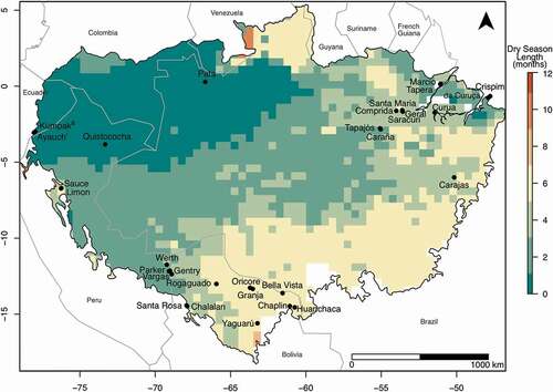 Figure 1. Locations of lake sediment records containing charcoal data within the Amazon basin sensu stricto, following (Eva et al. Citation2005). The sites containing charcoal data are shown in relation to dry season length; number of months receiving less than 100 mm precipitation (Berenguer et al. Citation2021). Study sites originally published by: Bush et al. (Citation1989), Behling (Citation2001), Behling and Lima Da Costa (Citation2000) Bush et al. (Citation2000) Bush et al. (Citation2007), Bush et al. (Citation2016), Irion et al. (Citation2006), Maezumi et al. (Citation2018b), Mayle et al. (Citation2000), McMichael et al. (Citation2012), Parsons et al. (Citation2018), Urrego et al. (Citation2013) Carson et al. (Citation2014), Brugger et al. (Citation2016), Taylor et al. (Citation2010), Nascimento et al. (Citation2019), De Toledo and Bush (Citation2007), Maezumi et al. (Citation2015), Cordeiro et al. (Citation2008), Behling and Da Costa (Citation2001), Kelly et al. (Citation2018), Maezumi et al. (Citation2018a).