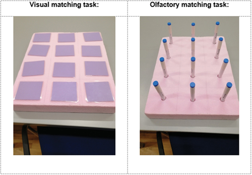 Figure 1. Illustration of the visual and olfactory memory task.