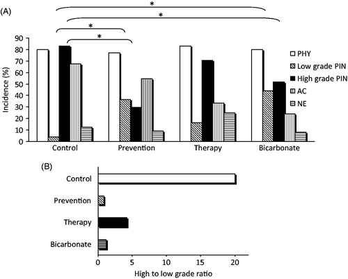 Figure 3. Administration of alkaline water in TRAMP mice reduces tumour progression. (A) Distribution of the different tumour lesions in the experimental groups, calculated on the total number of mice in each group. The cumulative percentage surpasses 100% because in the same mouse different tumour types may co-exist. The asterisks indicate p < .05. (B) The ratio between high and low grade PIN in the different experimental groups is shown.