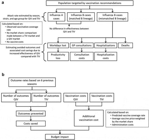 Figure 1. Model structure. (A) Retrospective public health model. (B) Prospective budget impact model. Abbreviations: GP, general practitioner; QIV, quadrivalent influenza vaccine; TIV, trivalent influenza vaccine.