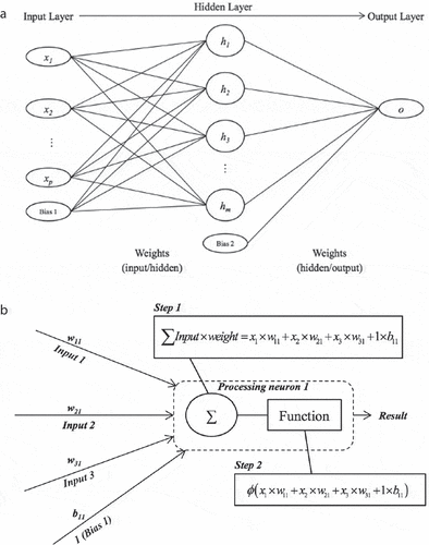 Figure 3. (a) Schematic of a multi-layer perceptron (García de Soto et al., Citation2014); (b) Data conversion process in a perceptron (Adey et al., Citation2017).