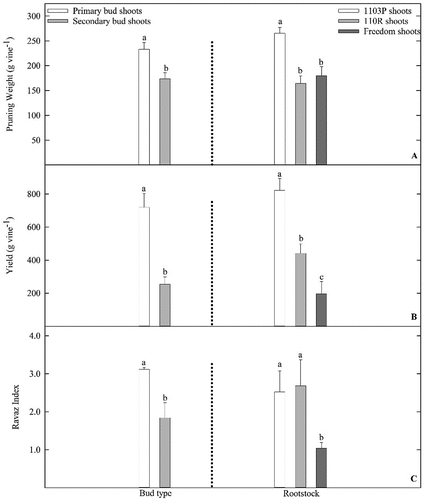 Figure 2. Influence of primary shoot treatment (PST) or secondary shoot treatment (SST) bud shoot growth and rootstock on cane weight (A), vine yield (B), and Ravaz Index (C) of Vitis vinifera ‘Grenache’ vines grown on 1103P, 110 R, and Freedom rootstocks at the Texas AgriLife vineyard in Lubbock, TX. Data pooled from 2016 and 2017 growing seasons. Letters above each bar represent differences between bud type, or rootstock (LS Means, Tukey–Kramer test, P ≤ 0.05.). Only main effects (no bud type x rootstock interaction) presented. Errors bars represent SE of the mean.