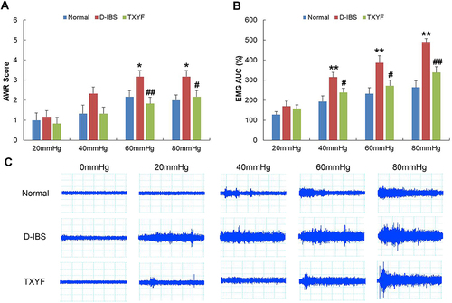 Figure 4 Effect of TXYF on colonic sensitivity in D-IBS rats. (A) Abdominal withdrawal reflex (AWR) score and (B) area under the curve (AUC) of electromyography (EMG) in response to graded distension pressure were measured to evaluate the colonic sensitivity. (C) Typical images of EMG activity in the external oblique muscle in response to graded colorectal distension. *P < 0.05, **P < 0.01 vs Normal group, #P < 0.05, ##P < 0.01 vs D-IBS group. Data are presented as mean ± SEM (n=6).