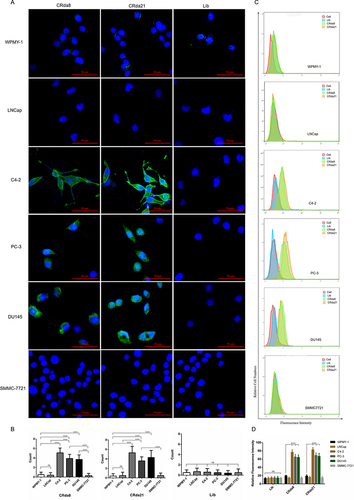 Figure 5 The specificity assay of the aptamers to different cell lines by confocal laser scanning microscope ((A and B); n = 3×8 × 6×3) and flow cytometry ((C and D); n = [3 × 6 +1] × 6×3). The Lib represents a random DNA sequence as negative control. Scale bars correspond to 50 μm in images. Data represented as mean ± standard deviation. The experiments were repeated three times independently. ***P < 0.001.