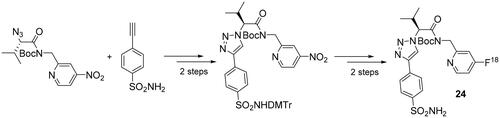 Scheme 7. Synthesis of derivative 24.