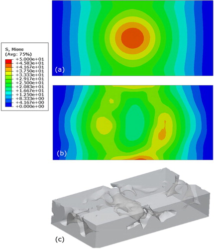 Figure 2. Comparison of the Von Mises stress fields on the top surface of the bone part at the (a) initial and (b) final situations. (c) Final optimized geometry of the implant part.