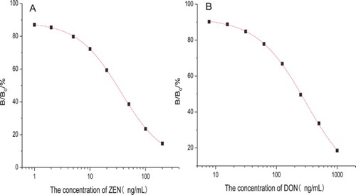 Figure 1. Standard curve of (A) ZEN and (B) DON by ELISA (n = 3).