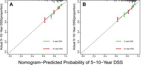 Figure 5 The calibration curve for predicting the 5- and 10-year DSS with nomogram (A) and nomogram (B).