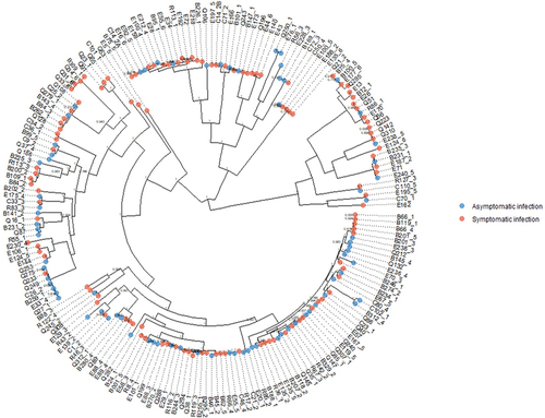 Figure 8. Core genome phylogenetic tree of DEC strains from symptomatic and asymptomatic individuals; there was no phylogenetic signal for case/control status (δ = 0.59, p = 0.92).