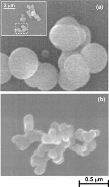 FIG. 5 SEM images of particles drawn from the trap at a gas flow rate of 60 sccm and an rf power of 200 W at (a) room temperature, and (b) a substrate temperature of 300°C. The particles form an agglomerate consisting of several primary particles. The particle boundary is clear at room temperature but is not clear at a substrate temperature of 300°C.