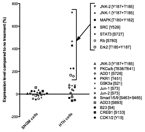 Figure 2 Summary of quantitative western blot analysis of phosphorylated proteins. Relative levels of phosphorylated proteins in SNG-M and HT-H cells after treatment with GWRQ-MAPS peptide for 30 minutes. Each point represents levels of phosphorylated protein, which either increased or decreased relative to levels seen in the absence of GWRQ-MAPS treatment. Phospho site-specific antibodies were used to detect each protein. The raw data are presented by Figure S5 and S6, Table S1 and S2.