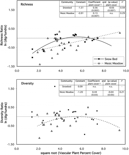 FIGURE 2. Two measures of plant community diversity on bear digs relative to adjacent mature tundra, plotted against each bear dig's vascular plant cover (a proxy for time since disturbance). Upper panel shows results for total plant species richness; lower panel shows Shannon-Weaver diversity index. Graphed values are log-transformed ratios of paired measurements (bear digs:mature tundra); ratios <0 indicate bear digs were less rich and/or diverse than adjacent mature tundra. Data are plotted separately for snowbed (squares and solid lines) versus mesic meadow communities (triangles and dashed lines). Regression curves indicate significant effects; there is no significant effect of percent cover on diversity for snowbed communities (mean diversity ratio = 0.09). Insets show regression statistics in upper right of each panel. Plant cover is square root transformed for normality