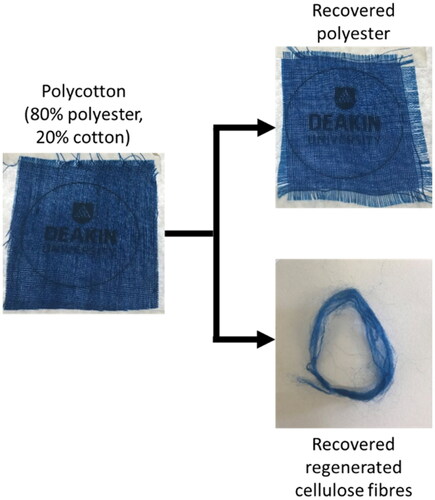 Figure 1. The original polycotton fabric and two recovered products from the separation of the 80/20 polyester/cotton blend. Note the heightened transparency of the recovered polyester due to cotton removal.