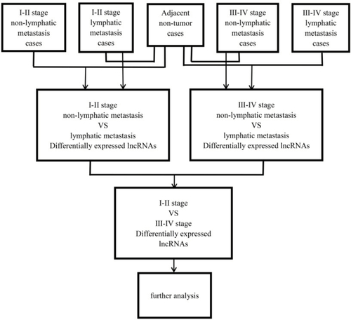 Figure S1 Flowchart of bioinformatic analysis.