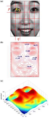 Figure 6. Data field of KA’s happy face: (a) a facial image, (b) 2-dimensional visualization of a facial data field, (c) 3-dimensional visualization of a facial data field.