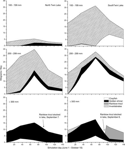Figure 3 Daily consumption of crayfish, golden shiner, rainbow trout, and invertebrates by largemouth bass feeding groups (100–199, 200–299, ⩾ 300 mm) in North Twin Lake (left) and South Twin Lake (right) during 2005 as estimated by a bioenergetics model.