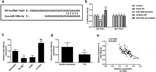 Figure 4. MiR-199a-3p was a direct target of TUG1. (a) the binding site of TUG1 in miR-199a-3p. (b) miR-199a-3p mimic significantly inhibited the luciferase activity of WT 3 ‘-UTR of TUG1, while the luciferase activity of miR-199a-3p inhibitor was the opposite. Furthermore, the transfection of miR-199a-3p mimic or miR-199a-3p inhibitor did not affect luciferase activity in the mutant group. (c) compared with the control group, the expression level of miR-199a-3p was significantly decreased in the no Mg2+ group and significantly increased in the si-TUG1group. (d) the expression level of miR-199a-3p was significantly reduced in children with TLE compared with healthy individuals. (e) the expression of TUG1 in TLE children was negatively correlated with miR-199a-3p level (r = −0.7223, P < 0.0001). *** P < 0.001, compared with the untreated group, control group, or healthy individuals. ### P < 0.001, compared with No Mg2+ group