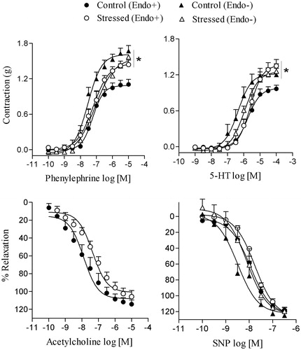 Figure 2. Effects of restraint stress on the vascular reactivity of isolated aortas to phenylephrine, serotonin (5-HT), acetylcholine and sodium nitroprusside (SNP). The contraction induced by phenylephrine and 5-HT were determined in endothelium-intact (Endo+) and endothelium-denuded (Endo−) rat aortic rings. Relaxation to acetylcholine and SNP were obtained in Endo+ and Endo− aortic rings, respectively. Values are mean ± SEM of n = 6 for control and n = 9 for stressed rats. *Maximum effect elicited by the agonist (Emax) compared to control group Endo+ (p < 0.05, ANOVA followed by Bonferroni’s multiple comparison test).