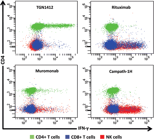 Figure 4.  Intracellular IFN-γ staining of human PBMC stimulated for 24 h with 1 μg/well of immobilized TGN1412, Rituximab, Muromonab, and Campath-1H. CD4+ T cells, CD8+ TT cells and NK cells are identified using the key above. TGN1412 stimulates IFN-γ secretion from CD4+ T-cells, Rituximab, and Campath-1H stimulate IFNγ secretion from NK cells and CD8+ T-cells and Muromonab stimulate IFN-γ secretion from CD4+ and CD8+ T-cells and NK cells.