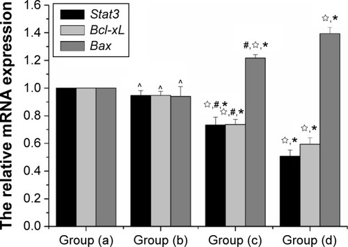 Figure 10 The relative mRNA expression of Stat3, Bax, Bcl-xL mRNA was isolated and subjected to quantitative PCR analysis.Notes: Data were normalized to GAPDH levels, data are reported as mean ± standard deviation (N=10), data represent the mean of ten independent experiments each performed in technical triplicate. Group (a), blank control; group (b), gene transfection-alone group; group (c), the thermotherapy-alone group; group (d), the combined therapy group. *P<0.05, compared with blank control; ☆compared with gene transfection-alone group; #P<0.05, compared with the combined therapy group; ^P>0.05, compared with the blank control group.Abbreviations: Bax, bcl-2 associated X protein; Bcl-xL, B-cell lymphoma-extra large; GAPDH, glyceraldehyde 3-phosphate dehydrogenase; mRNA, messenger RNA; PCR, polymerase chain reaction; Stat3, signal transducer and activator of transcription 3.