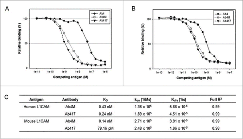 Figure 3. Affinity determination of Ab4, Ab4M, and Ab417 for hL1-ECD-S1 (A) and mL1-ECD-S1 (B) by competitive ELISA and Octet Red system (C). kon, rate of association; kdis, rate of dissociation; and Full R2, an estimate of the goodness of the curve fit.