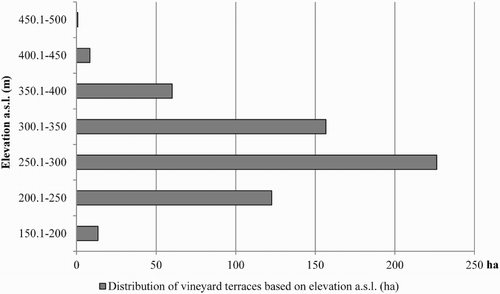 Figure 4. Distribution of vineyard terraces based on elevation a.s.l.