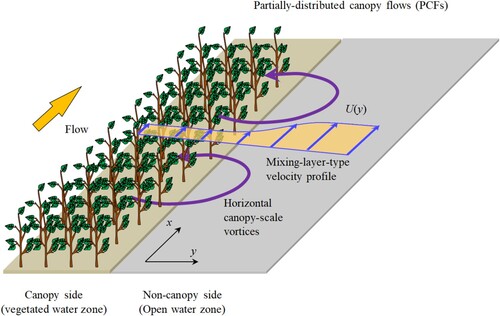 Figure 1. Conceptual sketch of partially-distributed canopy flows (PCFs).