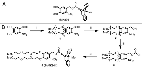 Figure 2. (A) Nitroveratryloxycarbonyl-protected MK801 (cMK801). (B) Synthesis of TEG-substituted caged MK801 (TcMK801) from 4,5-dihydroxy-2-nitrobenzaldehyde. (1) Triethylene glycol monomethyl monotosylate ether, K2CO3, MeCN, reflux, 16 h. (2) NaBH4, MeOH, rt, 3 h. (3) (Cl3CO)2CO, Et3N, CHCl3, rt, 2.5 h. (4) Dizocilpine maleate (MK801), Na2CO3, dioxane, THF, water, rt, 48 h.