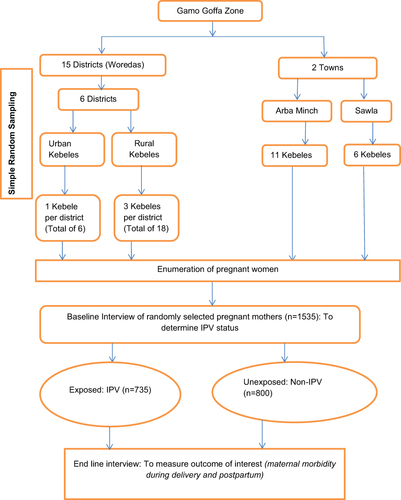 Figure 1 Schematic presentation of sampling procedure for the cohort study on the effect of IPV during pregnancy on maternal morbidity during delivery and postpartum.
