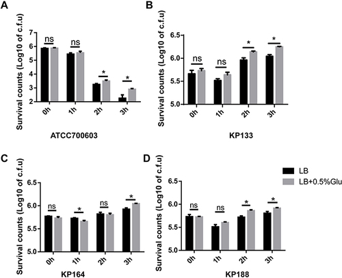 Figure 2 K. pneumoniae cultured with high concentration of glucose increased its resistance to serum killing. Human serum from 8 healthy donors was collected and incubated with K. pneumoniae ATCC700603 (A), clinical isolates KP133 (B), KP164 (C), and KP188 (D) that had been previously cultured in LB and LB with 0.5% glucose. Viability was determined immediately and after 1h, 2h, and 3 h of incubation. *P<0.05.