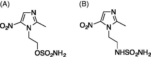 Figure 1. Chemical structures of the compounds used in the study. (A) The nitroimidazole DTP338 (compound 9 in the original study)Citation18 inhibits human CA IX showed inhibition constant Ki 8.3 nM in vitroCitation18. (B) The nitroimidazole DTP348 (compound 7 in original study) inhibitions human of CA IX in vitro at the concentration of 20.4 nMCitation18.