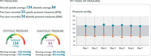 Figure 1 Screenshot of the Hy-Result report.