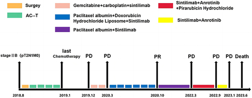 Figure 3 The timeline from diagnosis of metaplastic breast cancer to different stages of therapeutic regime and evaluation.