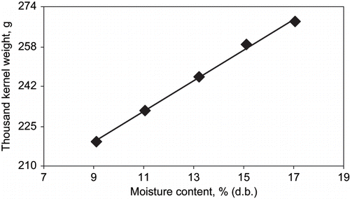 Figure 4 Effect of moisture content on 1000 kernel weight of sweet corn.