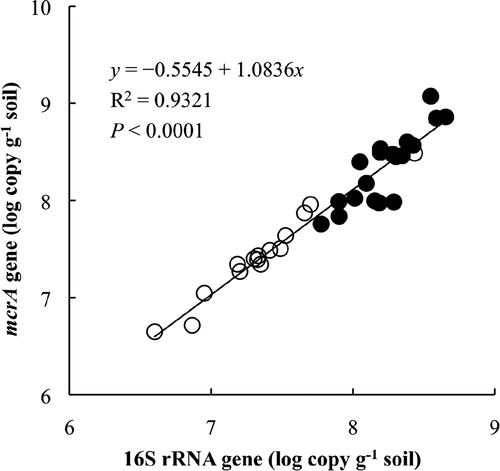 Figure 3 Relationship of quantifying methanogenic archaea by real-time polymerase chain reaction between targeting 16S rRNA genes and mcrA genes. The white circles indicate paddy field soil samples in north-east China and the black circles indicate soil samples from Japanese paddy fields of Anjo and Chikugo.