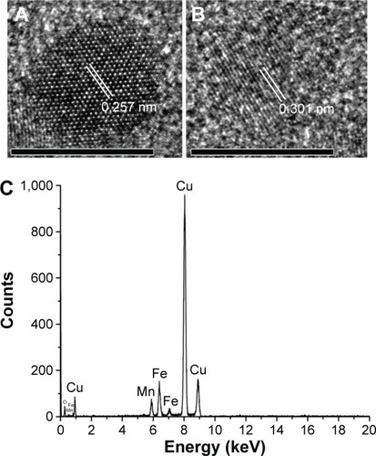 Figure 2 HRTEM and EDS characterization of MnFe2O4 NPs.Notes: HRTEM image of a single MnFe2O4 NP showed that the spacing between the lattice fringes of planes (220) and (311) was around 0.257 nm (A) and 0.301 nm (B). The chemical composition of the nanocrystals was confirmed using EDS measurement. EDS (C) of the prepared NPs indicated the presence of Mn, Fe, and O, and the atomic ratio of Fe to Mn was around 2:1. Scale bar =10 nm.Abbreviations: EDS, energy dispersive spectrometer; HRTEM, high resolution transmission electron microscopy; NPs, nanoparticles.