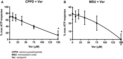 Figure 3 Verapamil suppresses caspase-1 activation. Urothelial cells were incubated overnight and then treated with decreasing concentrations of Verapamil for 4 hrs before treatment with 62.5 μg/mL CPPD (A) or 1.25 μg/mL MSU (B) for 24 hrs. The caspase-1 assay was then performed as described in the Materials and Methods section. Both CPPD and MSU-treated cells had the same IC50 (100 μM). n= 10 for all doses of Verapamil and CPPD treated wells; n= 5 for all doses of Verapamil and MSU treated wells. *p<0.05 by one-way ANOVA and Dunnett’s post-hoc test.