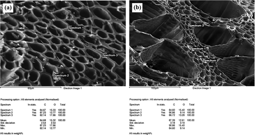 Figure 3. Elemental analysis of (a) walls of biochar pores and (b) membranes of small biochar pores.