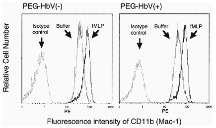 Figure 2. Effects of the PEG-HbV pretreatment on the CD11b (Mac-1) expression on the PMNs. The PMNs were pretreated with PEG-HbV at 60 mg/dl of Hb for 30 min at 37°C. The PMNs were then incubated with 1 μM fMLP or vehicle. The constitutive and fMLP-induced CD11b (Mac-1) expression was analyzed by flow cytometry. Data are representative of two separate experiments.