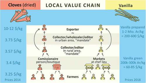 Figure 3. Local- to regional-level value chain structure for clove and vanilla. Remark: Different years for price development along the value chains. Source: own research.