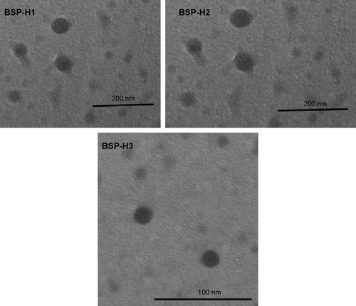 Figure S3 TEM images of the micelles prepared respectively from BSP-H1 to BSP-H3.Abbreviations: TEM, transmission electron microscopy; BSP, branched star polymer.