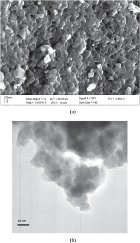 Figure 1. (a) SEM and (b) TEM images of TiO2 nanoparticles.