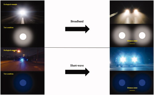 Figure 1. An illustration of the discrimination of two light points in a natural setting.