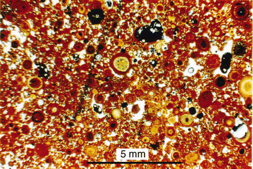 Figure 15 Microscope image of redsoil from Messmate West, Andoom at 40 cm (ANU 56347).